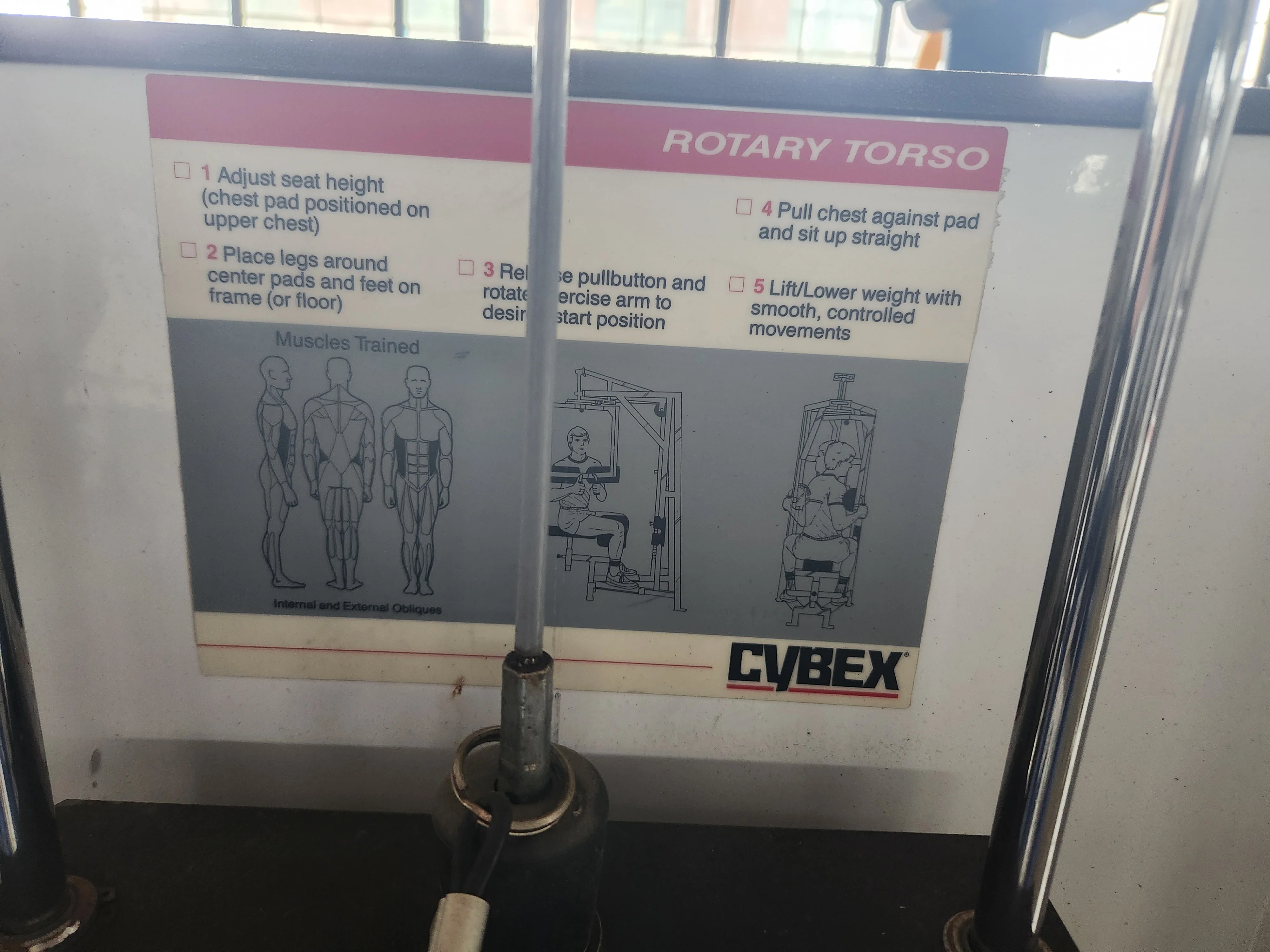 Pre-Owned Cybex 4201 Rotary Torso Machine - Image 3
