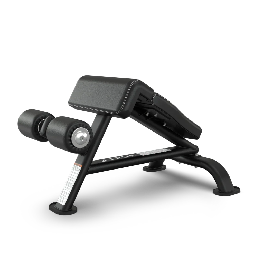 True Fitness SF-1010 Ab Bench - Image 2